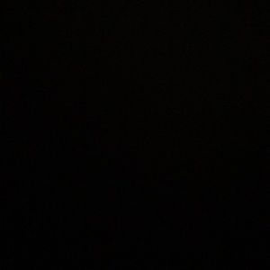 Meet your Posher, Lilly